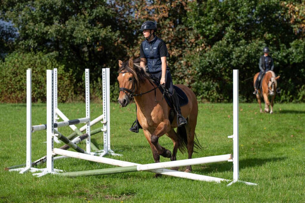 Elev fra Ølgod Efterskole rider en brun hest mod et lille spring på græsbanen.