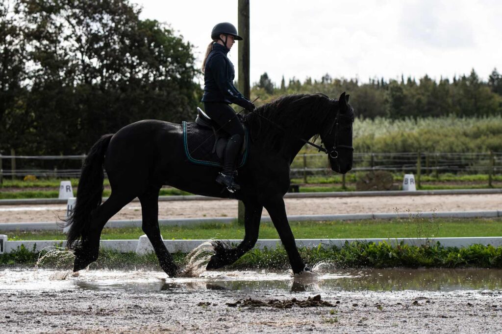 Elev fra Ølgod Efterskole rider en sort hest gennem vand på den udendørs ridebane.