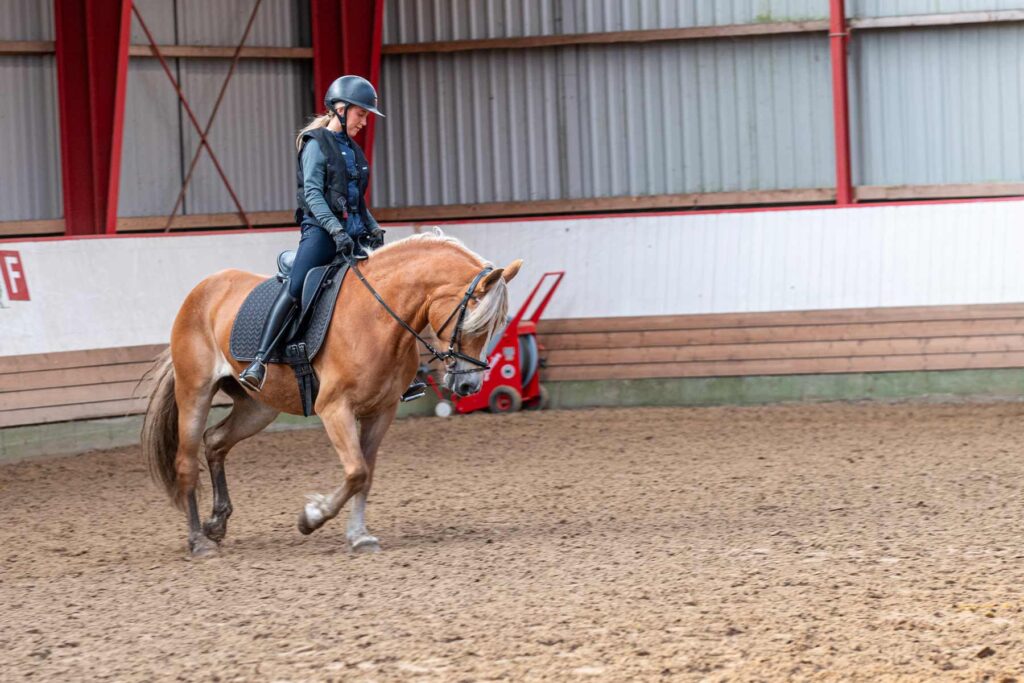 Elev fra Ølgod Efterskole rider en lys brun hest under rideundervisning i ridehallen.