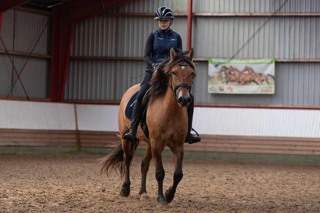 Elev fra Ølgod Efterskole rider en brun hest i ridehallen.